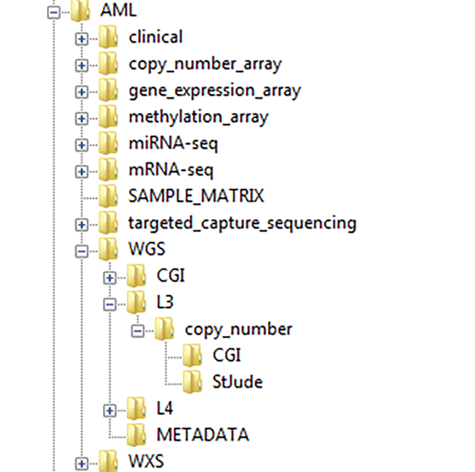 TARGET Directory Structure