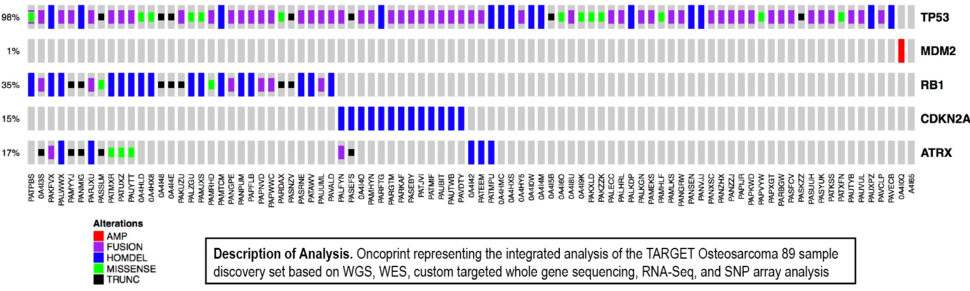 TARGET Osteosarcoma oncoprint 