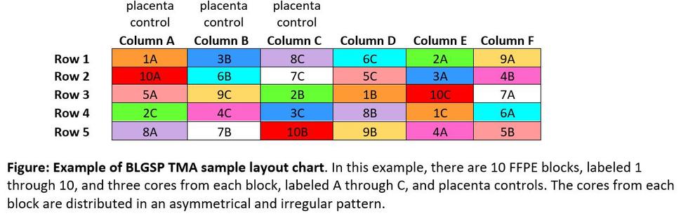 Example of BLGSP TMA sample layout