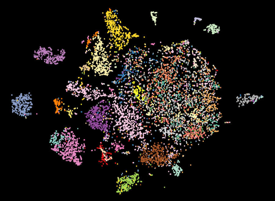 A tumor microenvironment map
