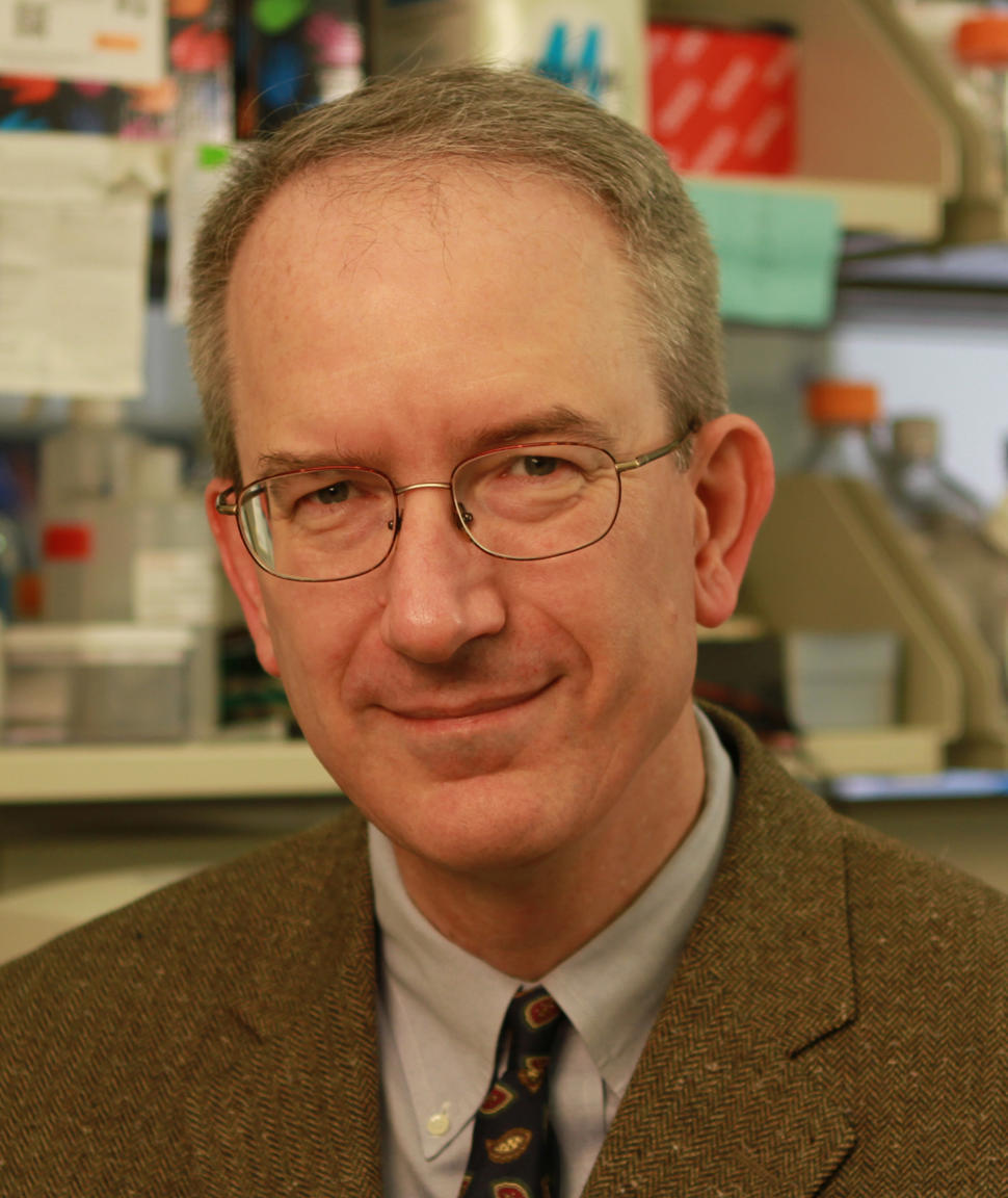 Headshot of Dr. Louis Staudt