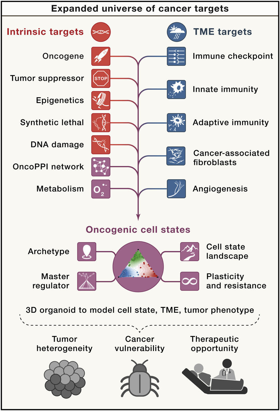 Diagram of an expanded "universe" of cancer targets with tumor intrinsic and extrinsic, and emerging targets represented.