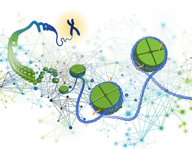 Genomics Gene Regulation