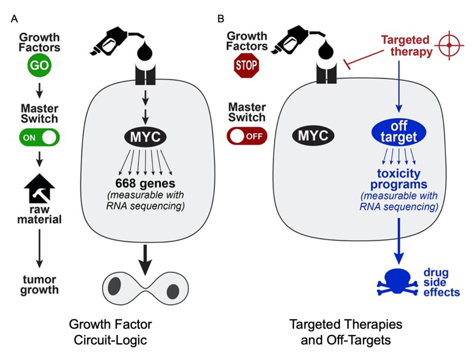 Master switch transcription factor signaling pathways drive cellular proliferation and are important therapeutic targets.