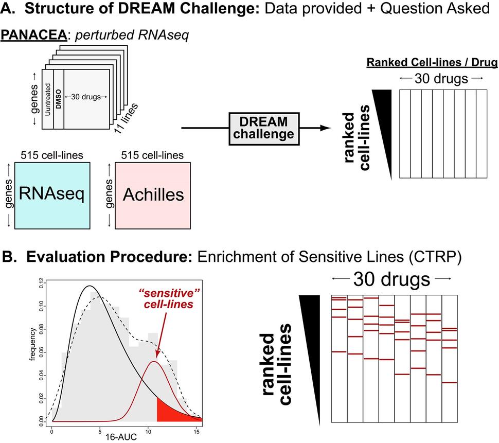 Columbia University CTD² Pancancer Chemosensitivity Challenge