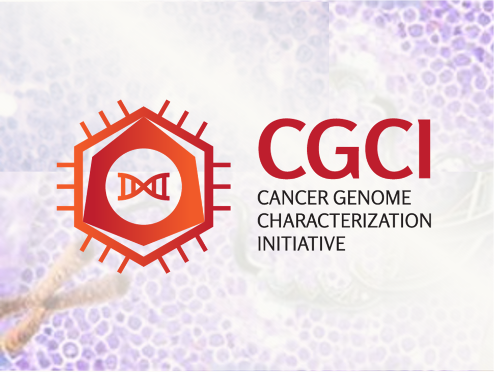 The Cancer Genome Characterization Initiative (CGCI)