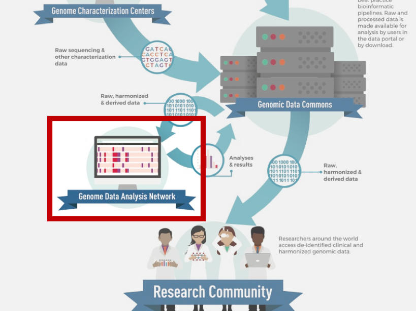 research genomic data analysis