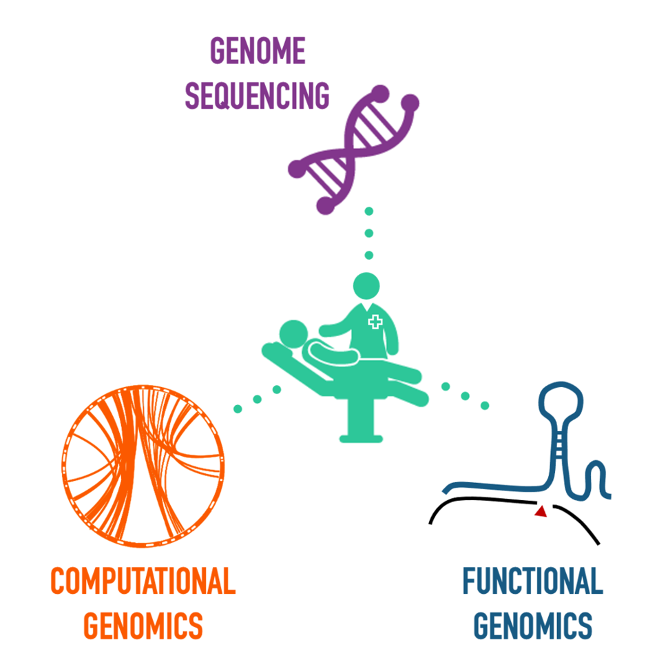 NCI's Center for Cancer Genomics conducts genome sequencing, computational genomics, and functional genomics research.