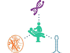 Structural, functional, and computational genomics lead to patient care