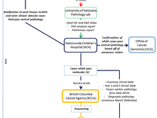 Outline of the Brazil BLGSP Flowchart.