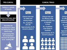 Steps involved in drug development and approval process by the Food and Drug Administration