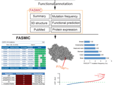 Overview of the FASMIC web portal, which can be used for exploring functional effects of cancer somatic mutations