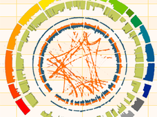 Circos plot from PGDI banner