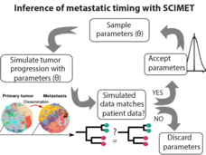 Inference of patient-specific evolutionary dynamics and the timing of metastasis from cancer genomic data using SCIMET
