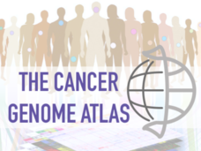 The Cancer Genome Atlas