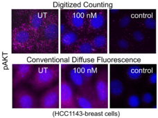 Illustration of CytoScreen platform’s molecular detection sensitivity