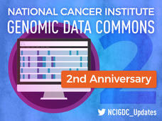 National Cancer Institute Genomic Data Commons second year anniversary promotional graphic