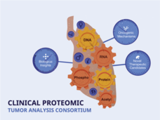 Image of proteogenomic analysis of lung adenocarcinoma.