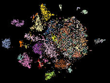 A tumor microenvironment map