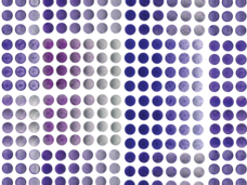 Image of cell growth assays performed on knockout cancer cell lines.