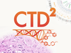 NCI's Cancer Target Discovery and Development (C-T-D-Squared) Program 