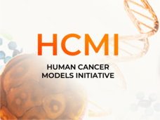 NCI's Human Cancer Models Initiative