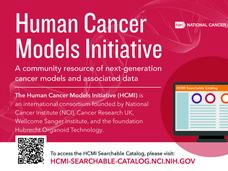 Human Cancer Models Initiative Information Card