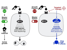 Master switch transcription factor signaling pathways drive cellular proliferation and are important therapeutic targets.