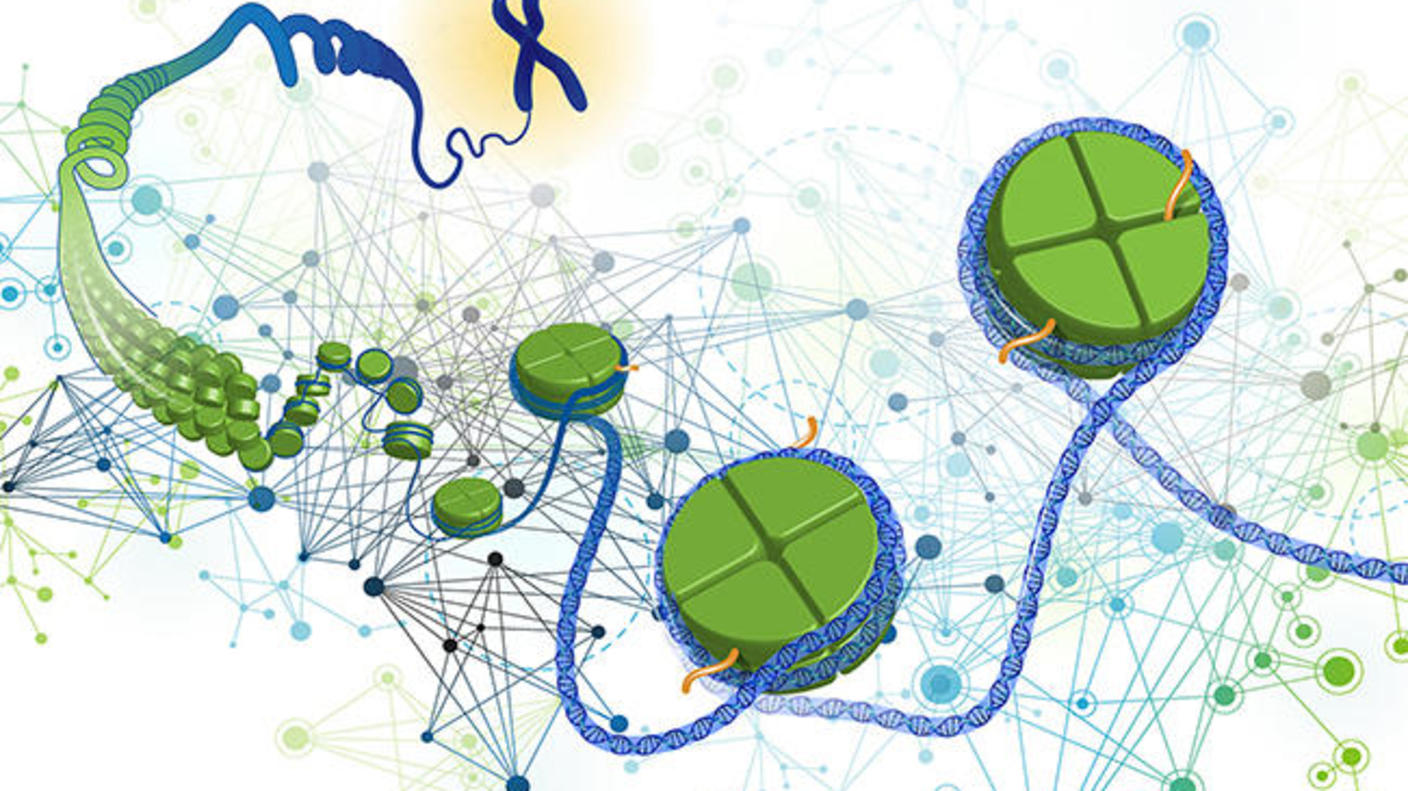 Genomics Gene Regulation