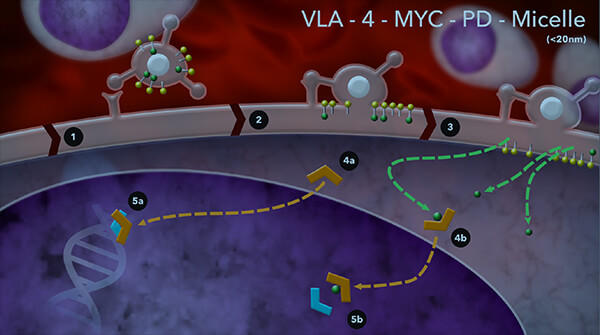 Cellular membrane showing micelles approaching the membrane, interaction with receptors, penetration and release inside the cell, pathways leading to different cellular processes and interactions with DNA and other cell components.