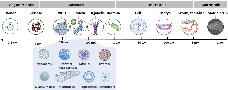 Nanoscale