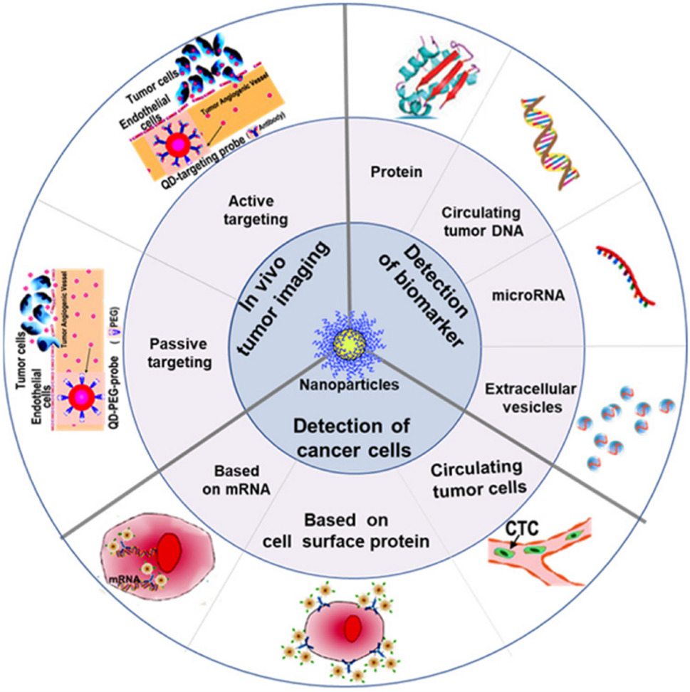 Nanotechnology and Early Cancer Detection and Diagnosis - NCI
