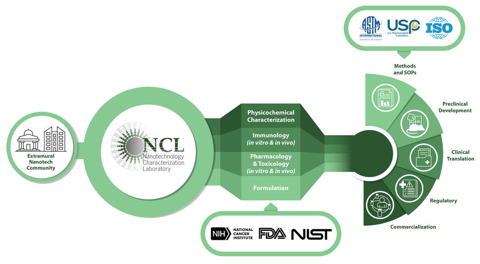 NCL operations model. NCL assists the extramural community with characterization and formulation in an effort to assist with preclinical development and clinical translation of their product.