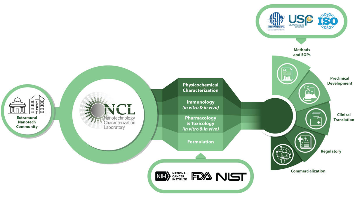 NCL operations model. NCL assists the extramural community with characterization and formulation in an effort to assist with preclinical development and clinical translation of their product.