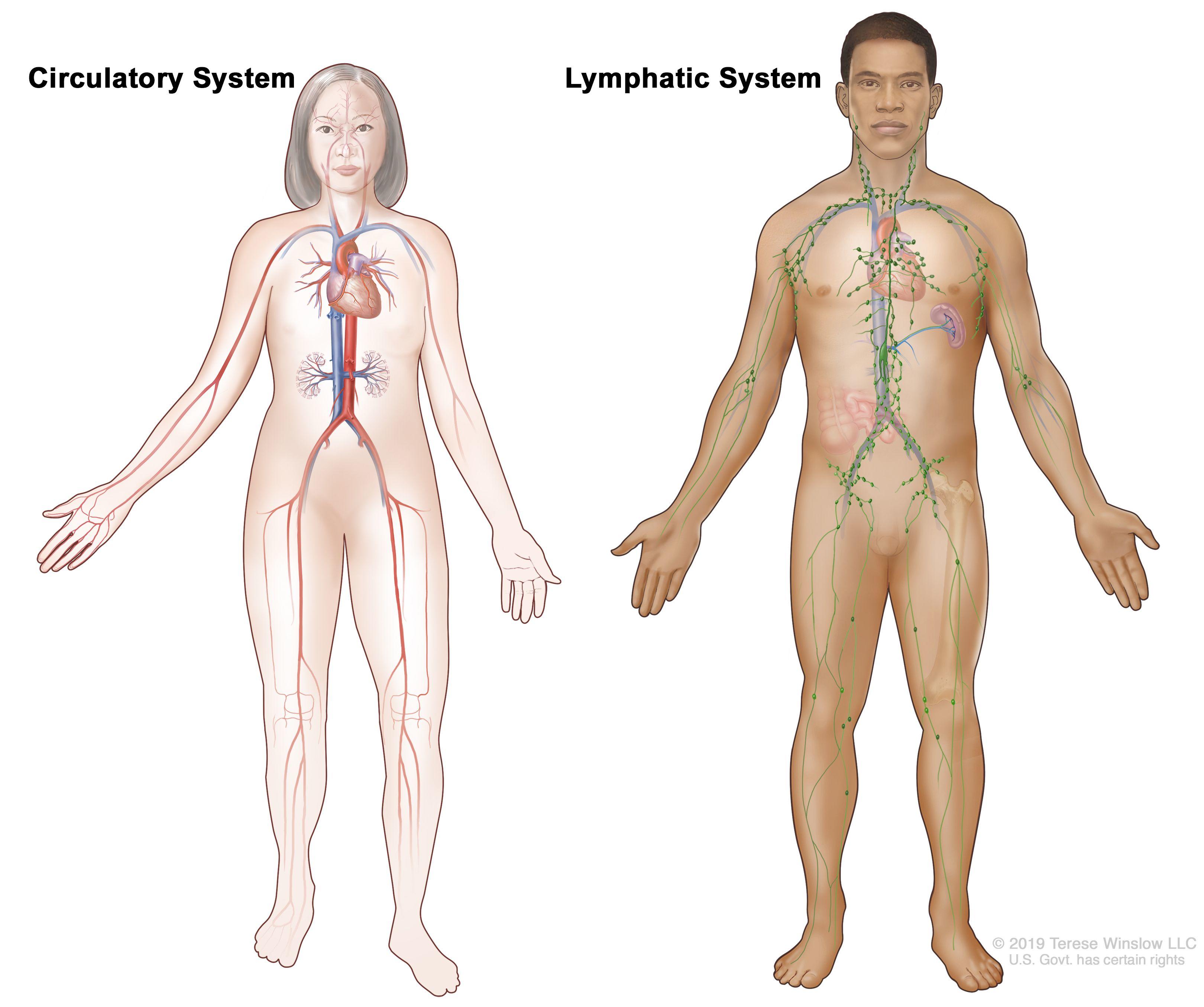 Rare Vascular Tumors NCI