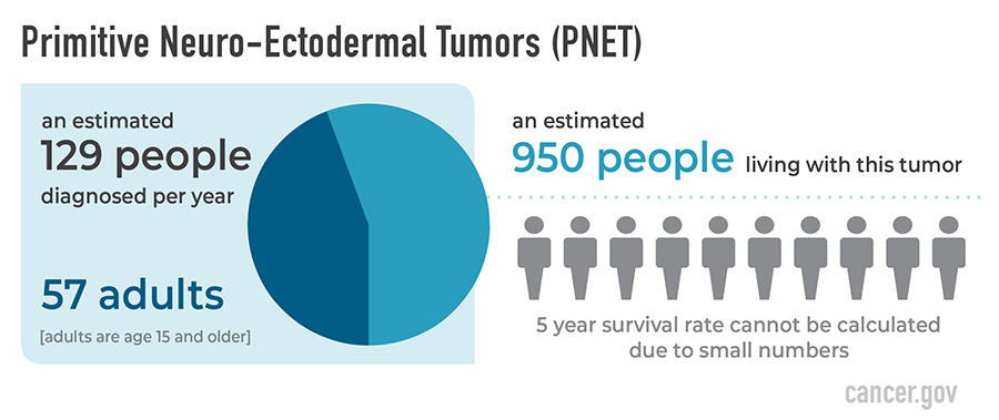 Infographic title: Primitive Neuro-Ectodermal Tumors (PNET). Pie chart showing an estimated 129 people diagnosed per year. 57 are adults (adults are age 15 and older). An estimated 950 people living with this tumor. 5 year survival rate cannot be calculated due to small numbers.