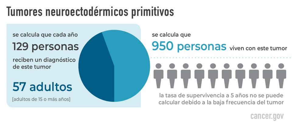 Tumores neuroectodérmicos primitivos (TNEP)