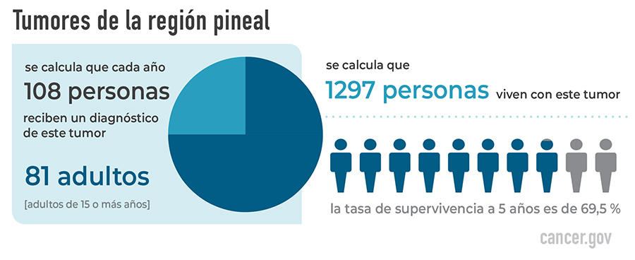 Tumores de la región pineal