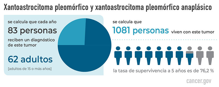 Xantoastrocitoma pleomórfico y xantoastrocitoma pleomórfico anaplásico 