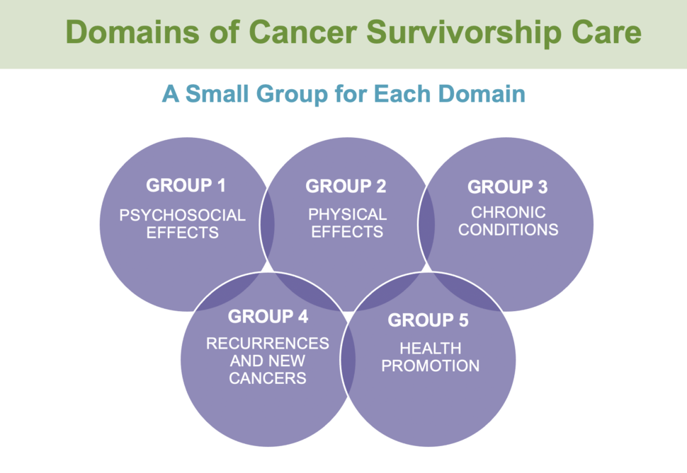 The five domains of cancer survivorship and a small group for each domain. Psychosocial effects, physical effects, chronic conditions, recurrences and new cancers, and health promotion.