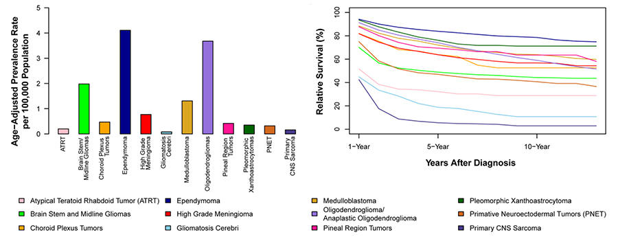 CBTRUS Statisic Chart