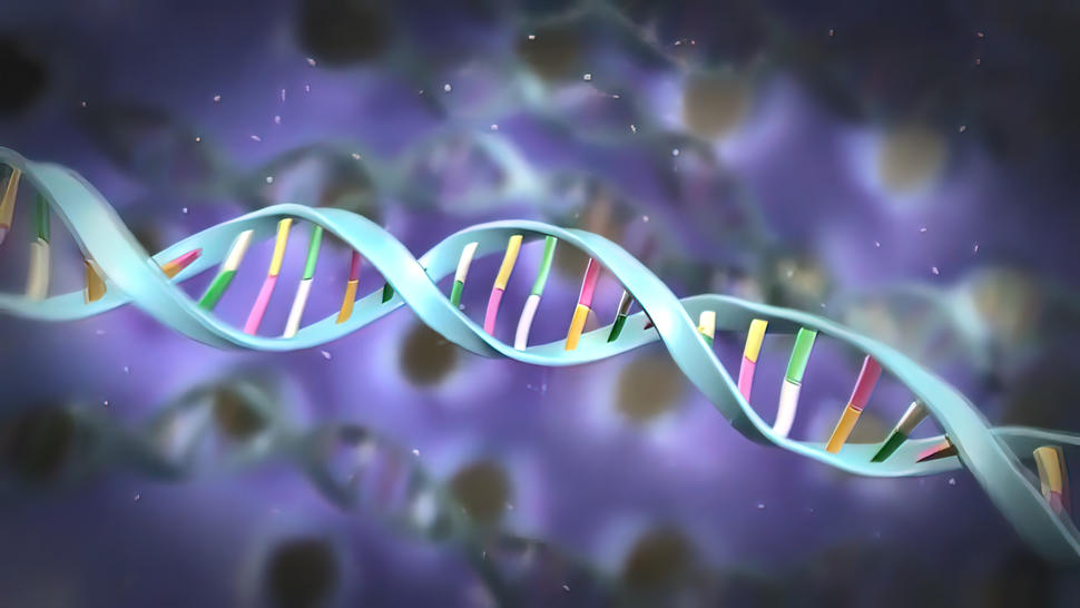 DNA methylation illustration 