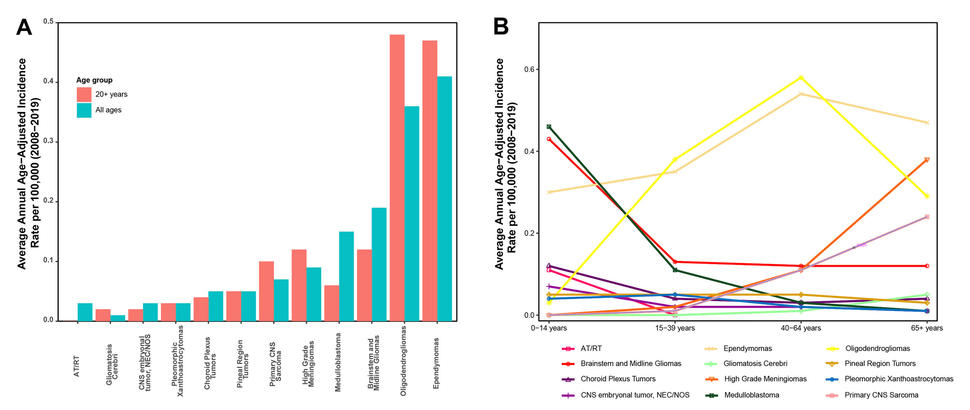 Two figures: 1. A bar graph showing Average Annual Age-Adjusted Incidence Rate per 100,000 (2008-2019, ranging 0-.5) for "all ages" and "20+ years" on the Y axis and 12 rare tumor types on the X axis. 2. A line graph with Average Annual Age-Adjusted Incidence Rate per 100,000 (2008-2019) on the Y axis and years 0-65+ on the X axis.