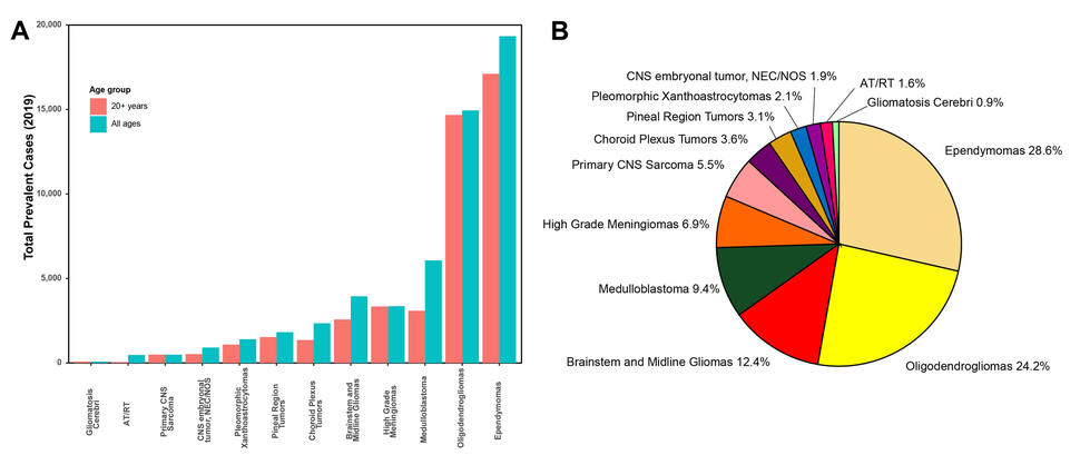 Two figures: 1. A bar graph showing Total Prevalent Cases (2019, ranging 0-20,000) for "all ages" and "20+ years" on the Y axis and 12 rare tumor types on the X axis. 2. A pie chart showing distribution of newly diagnosed cases by tumor type.