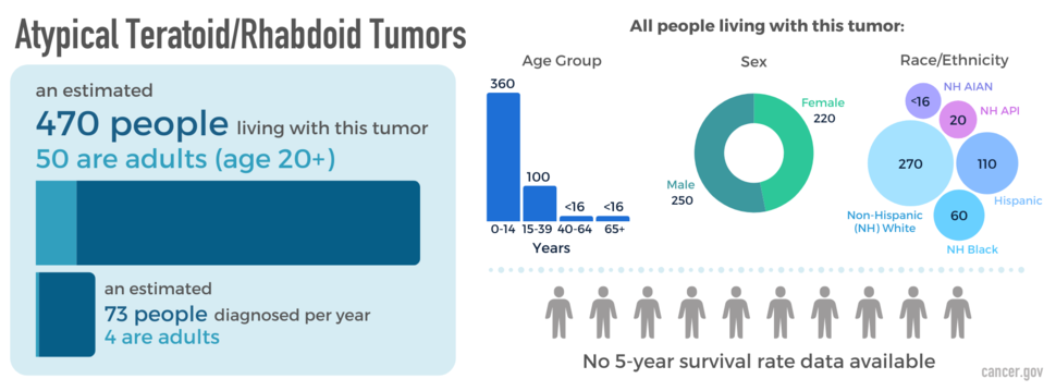 Infographic showing newly diagnosed cases, as well as prevalence by age, sex, and race. The five-year relative survival rate is also shown.