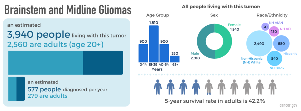 Infographic showing newly diagnosed cases, as well as prevalence by age, sex, and race. The five-year relative survival rate is also shown.