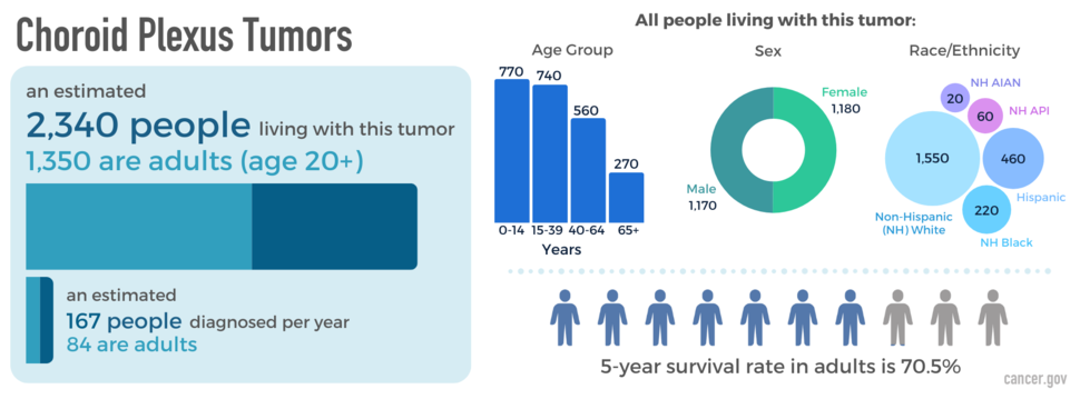 Infographic showing newly diagnosed cases, as well as prevalence by age, sex, and race. The five-year relative survival rate is also shown.