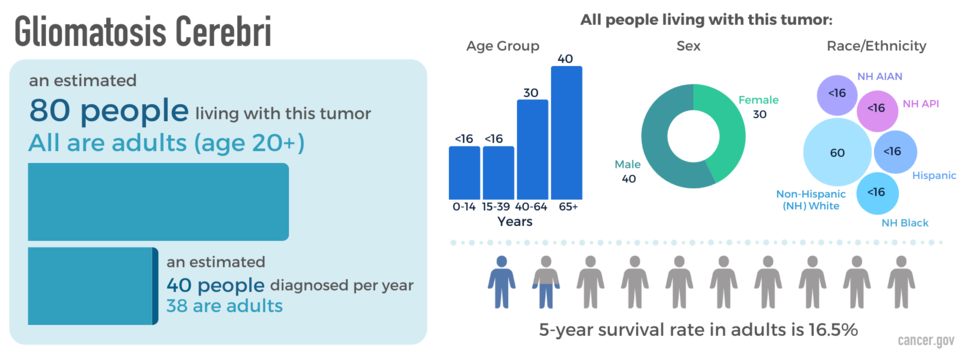 Infographic showing newly diagnosed cases, as well as prevalence by age, sex, and race. The five-year relative survival rate is also shown.