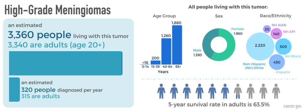 Infographic showing newly diagnosed cases, as well as prevalence by age, sex, and race. The five-year relative survival rate is also shown.