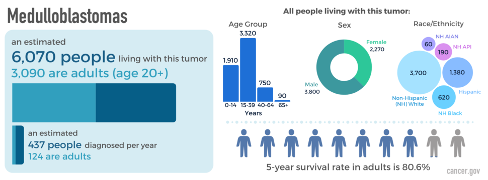 Infographic showing newly diagnosed cases, as well as prevalence by age, sex, and race. The five-year relative survival rate is also shown.